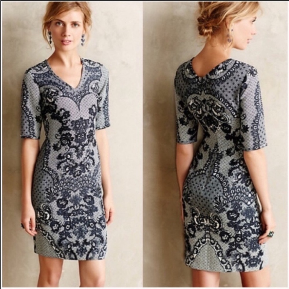 Anthropologie Barashi lace look dress size 6